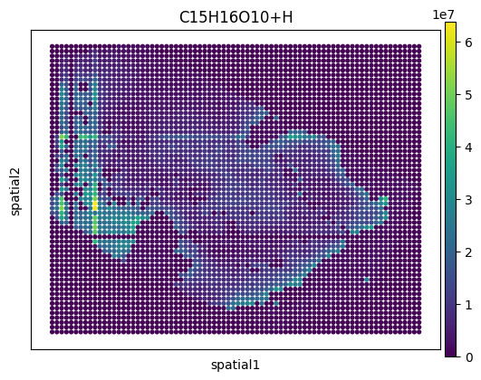 Visualization with ScanPy